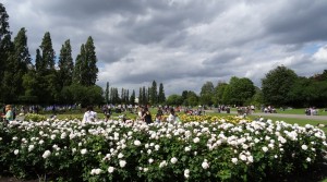 Queen Mary's Garden Regent's Park